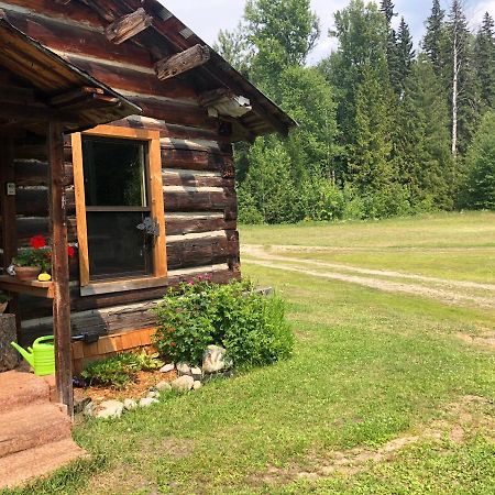 Mini-Mooh Cabin Clearwater Luaran gambar